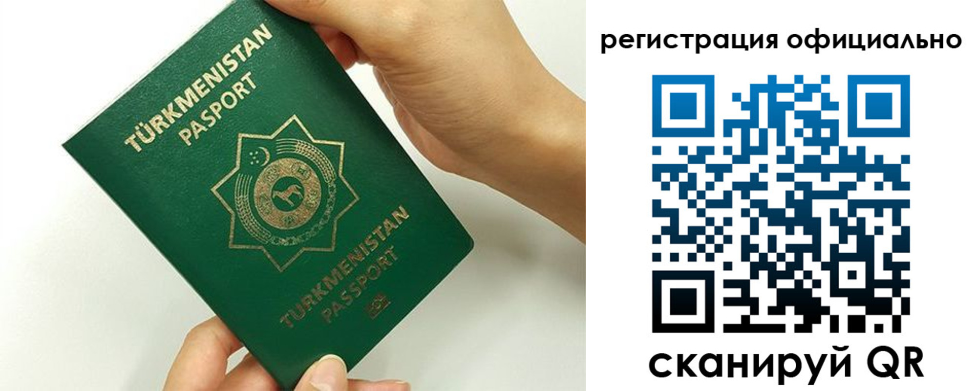 прописка поиск в Ардоне